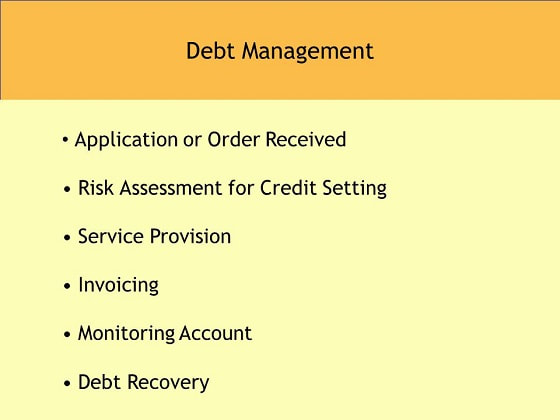 Debt Management services